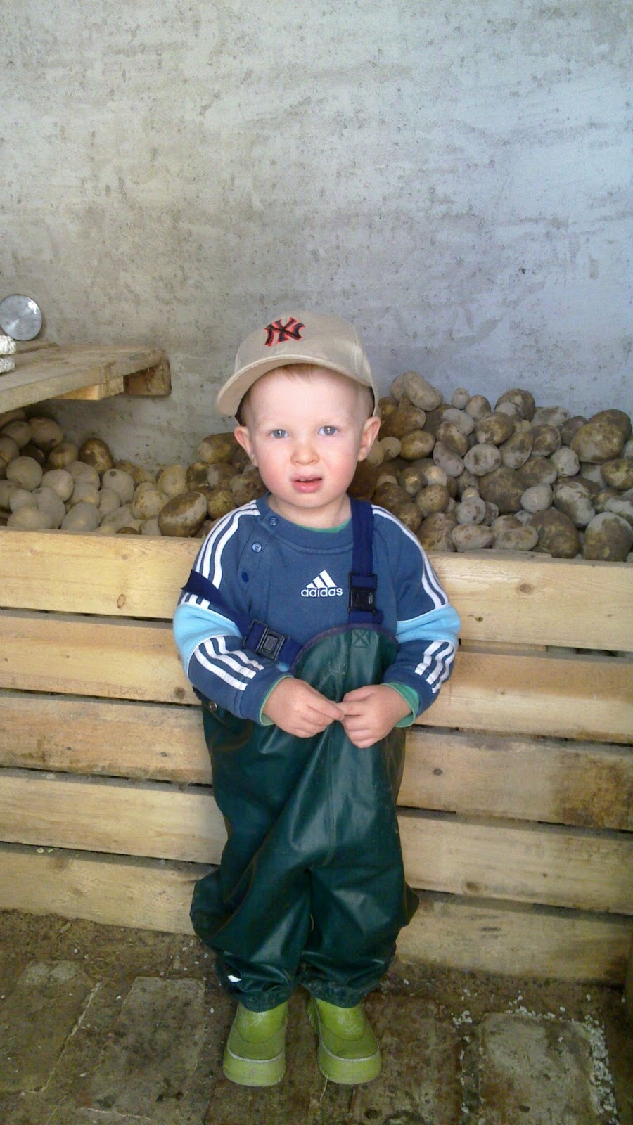 Maakellari käytössä